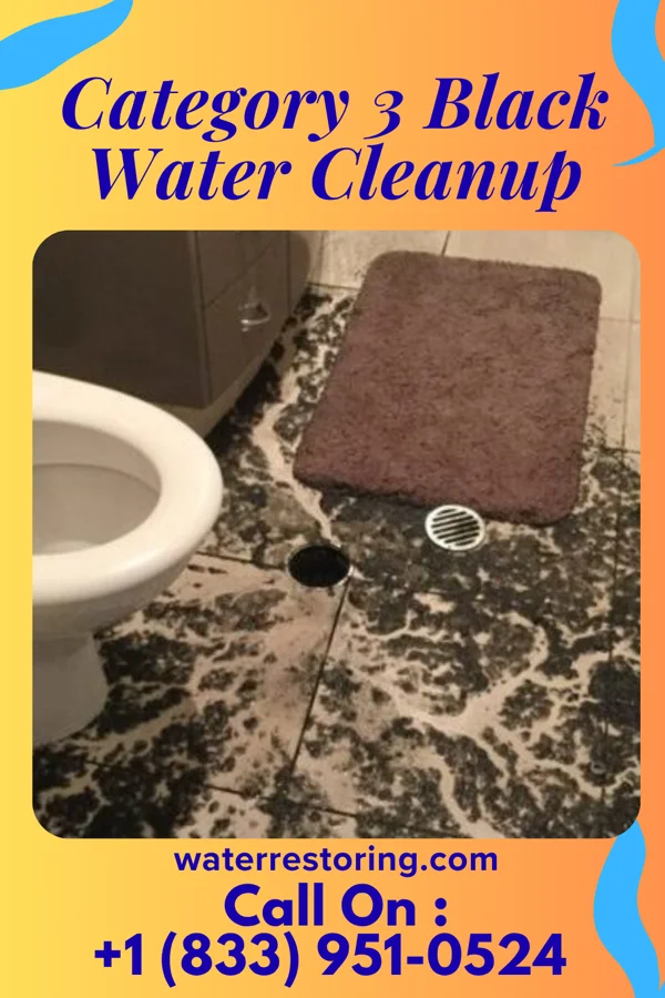 Category 3 Black Water Cleanup in Addison, TX